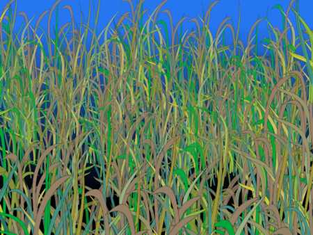 Grafik pokazuje jak zrobić grafiki w Corelu