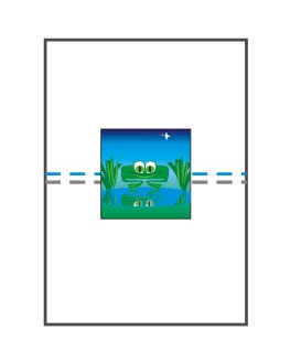 kompozycja środek optyczny