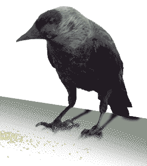 test PNG transparentny